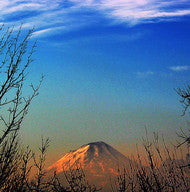 Vesuvio